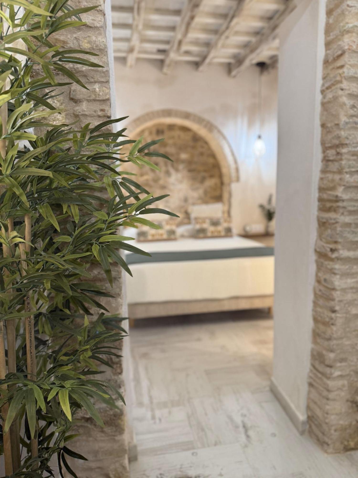 Pimenium 318 Medina-Sidonia